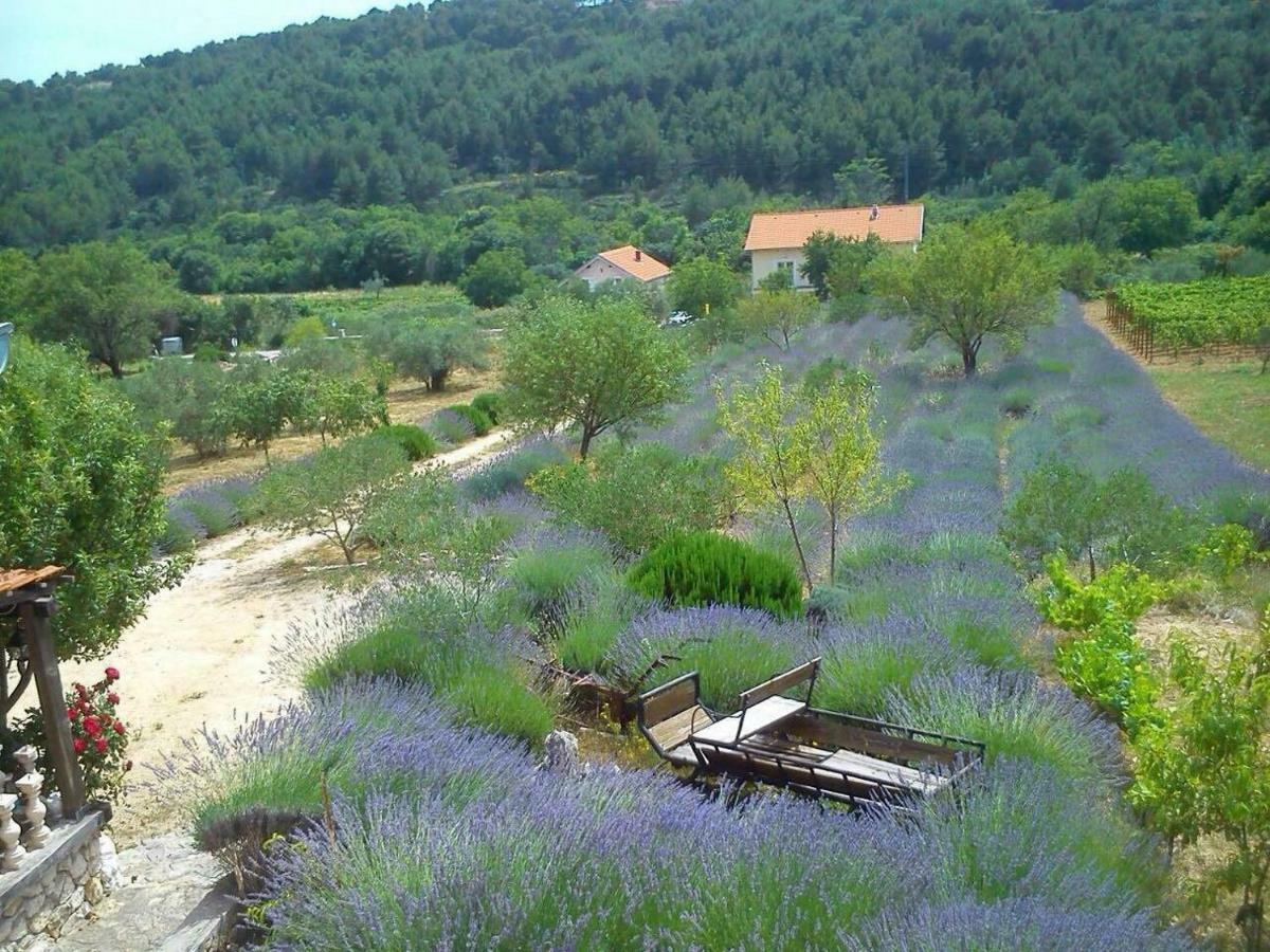 Apartmani Goga Skradin Exterior foto